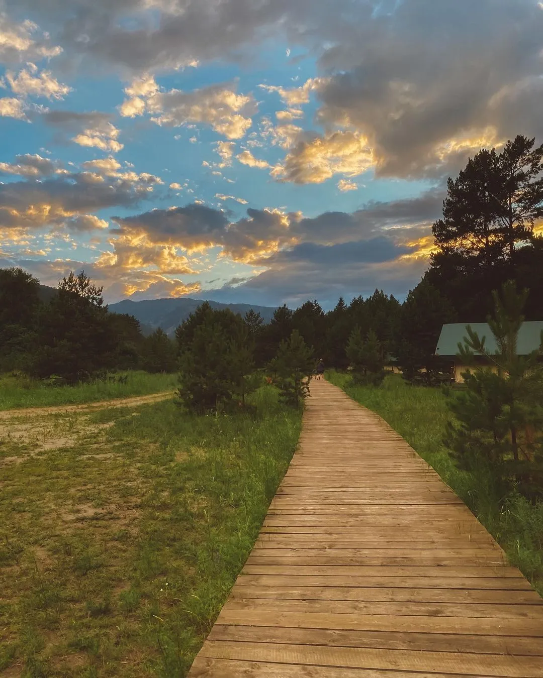 Глэмпинг Ороктой-парк