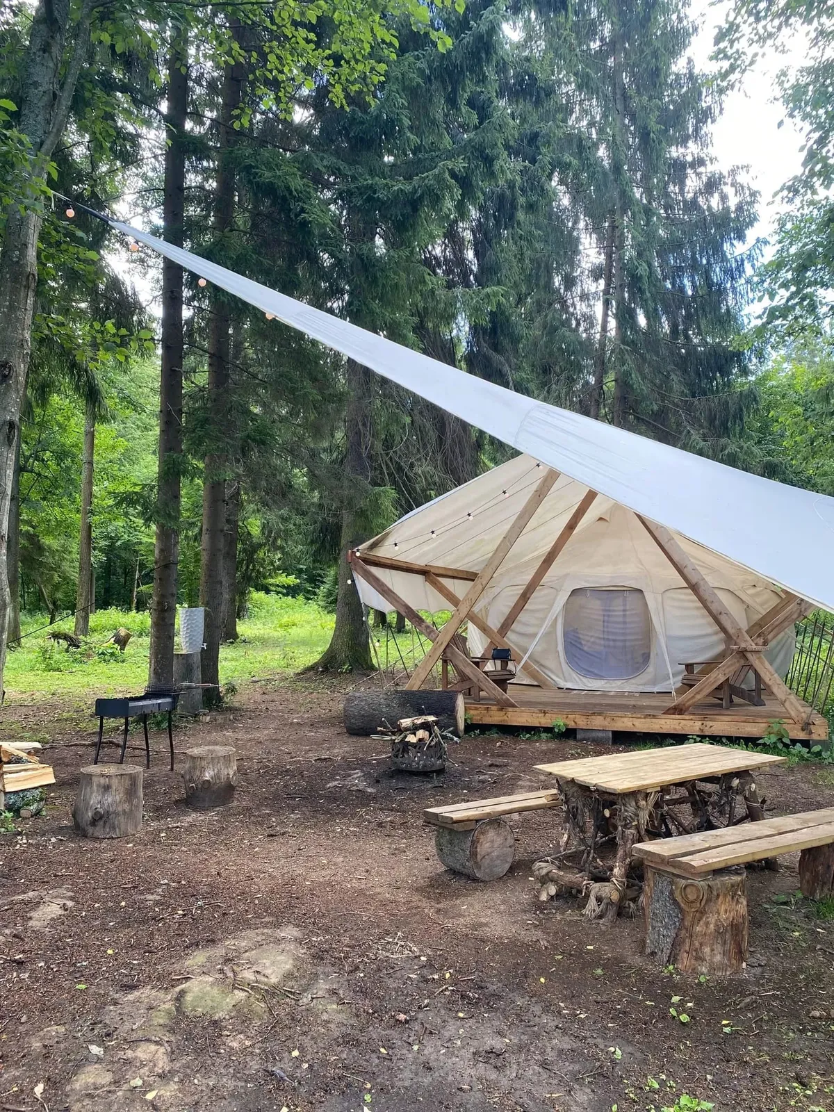 Глэмпинг Палатка в лесу фото 3