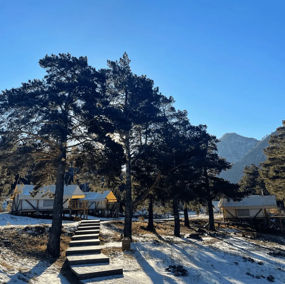 Глэмпинг парк Айвенго фото 3