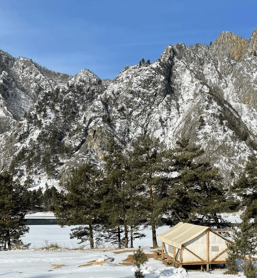 Глэмпинг парк Айвенго фото 4