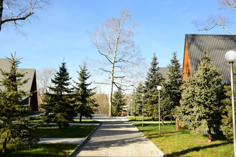 Глэмпинг Парк-отель Атмос фото 4