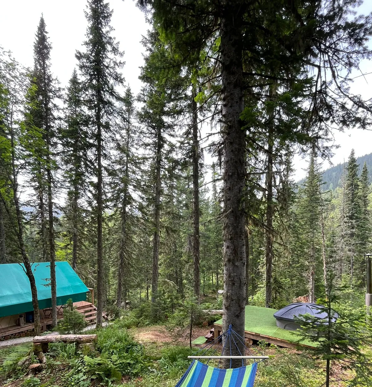 Глэмпинг Сектор Е фото 3