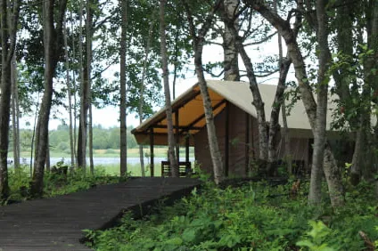 Глэмпинг Селигерия фото 2