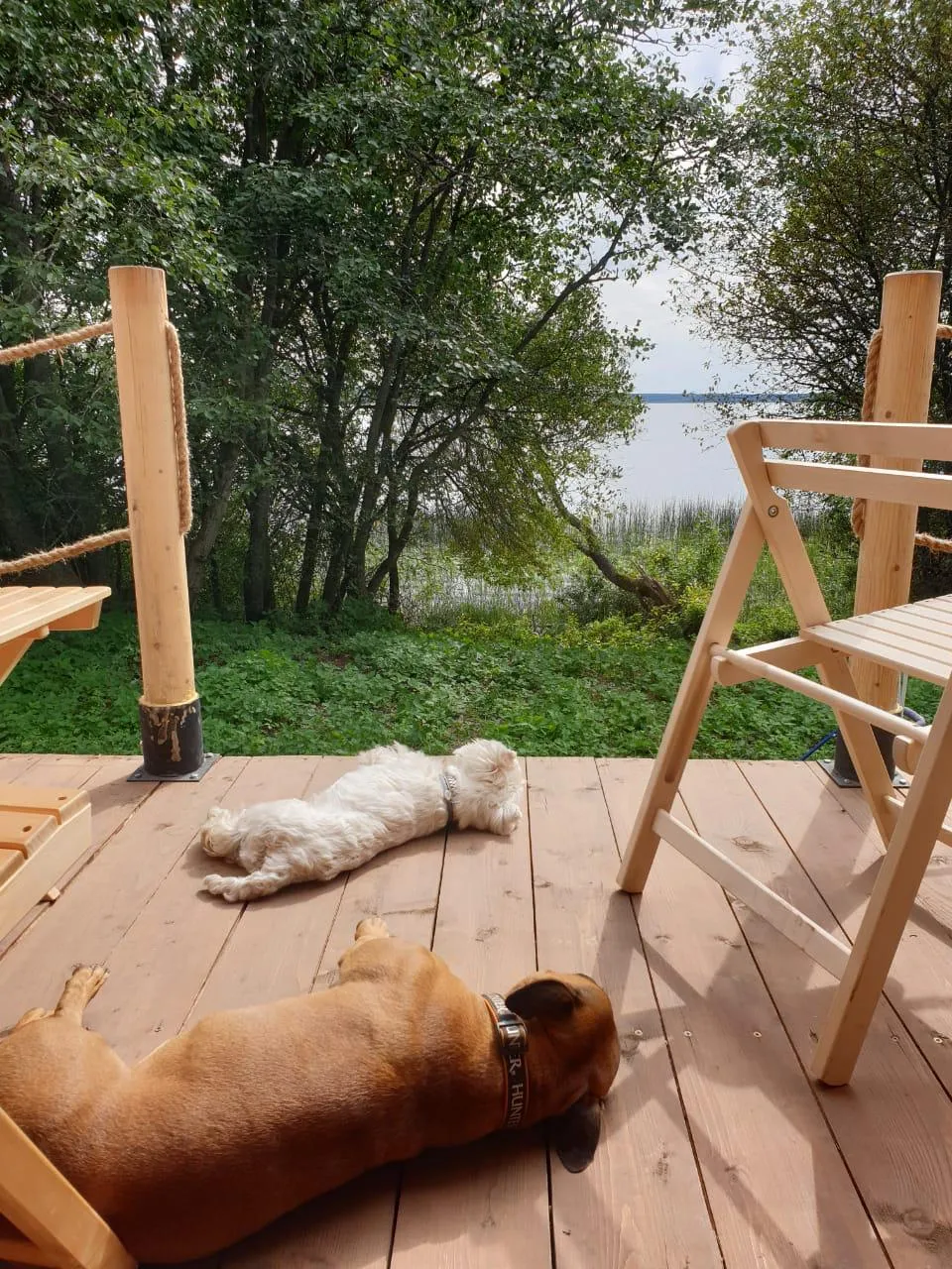 Глэмпинг Шалаш (Sha. Lush) фото 2