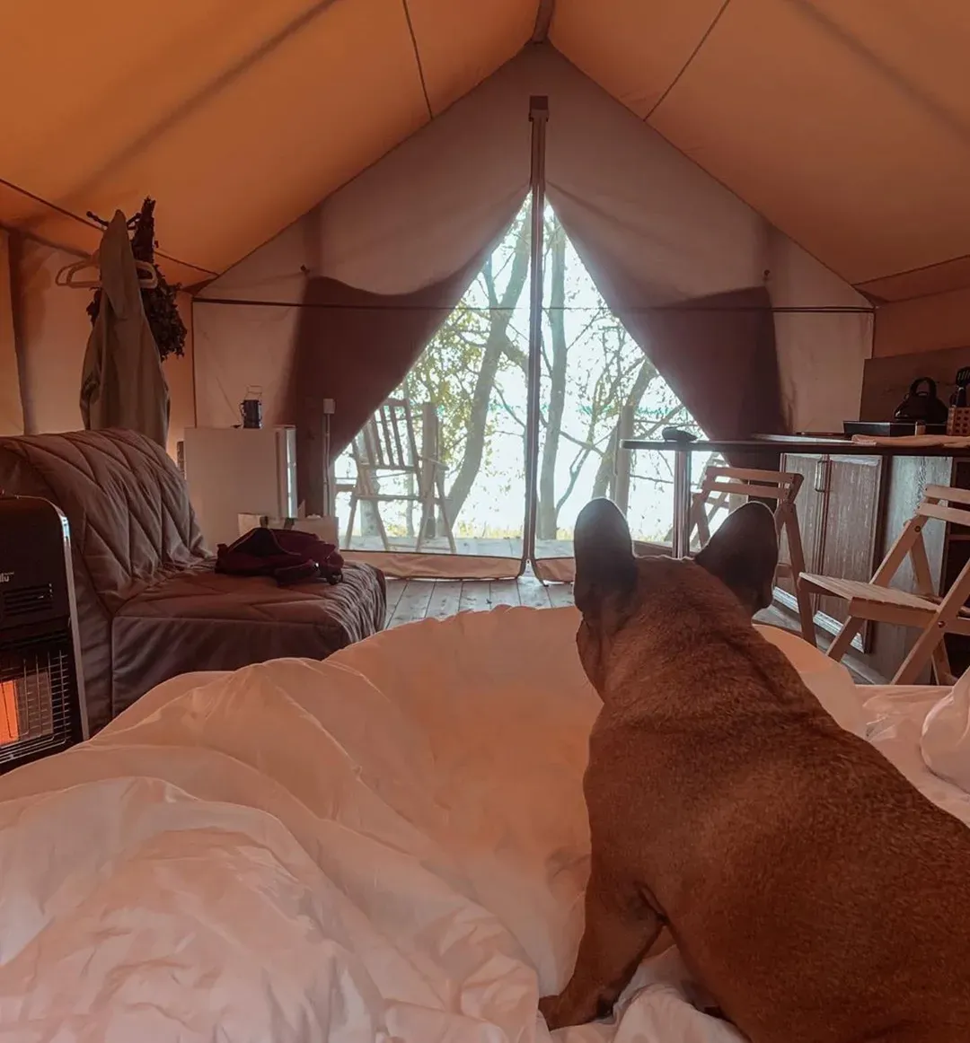 Глэмпинг Шалаш (Sha. Lush) фото 3