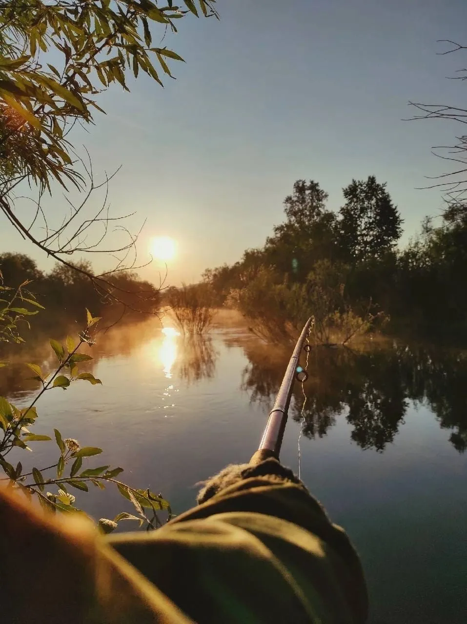 Глэмпинг ShuyaCamp фото 4