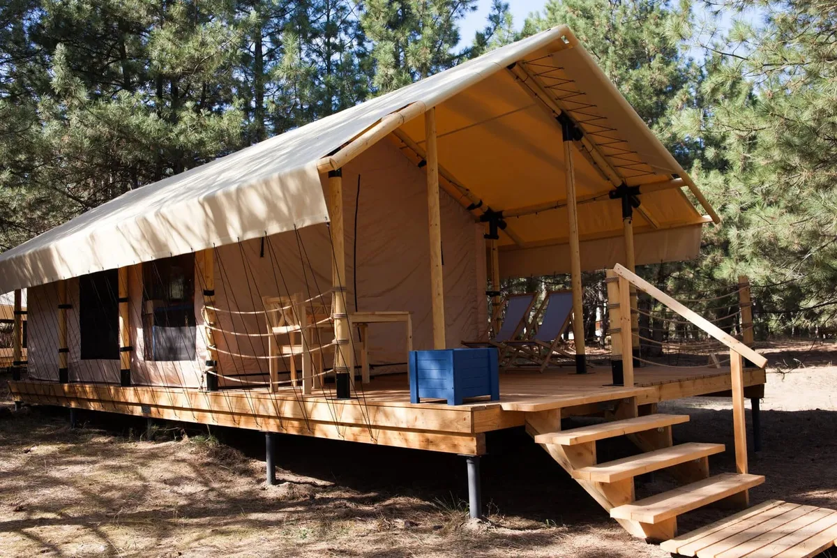 Тент-хаус в сосновом лесу