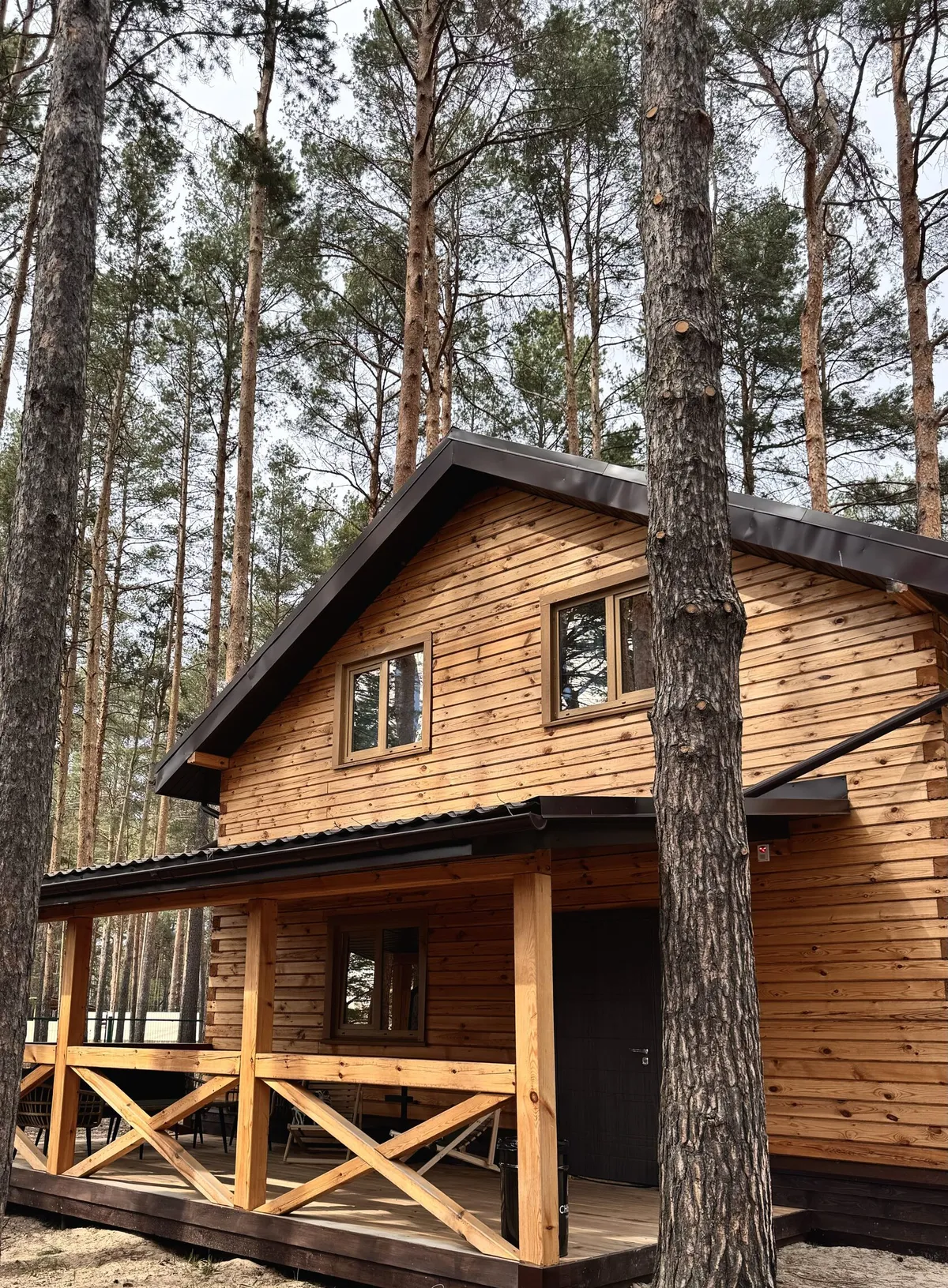 Глэмпинг Сны леса