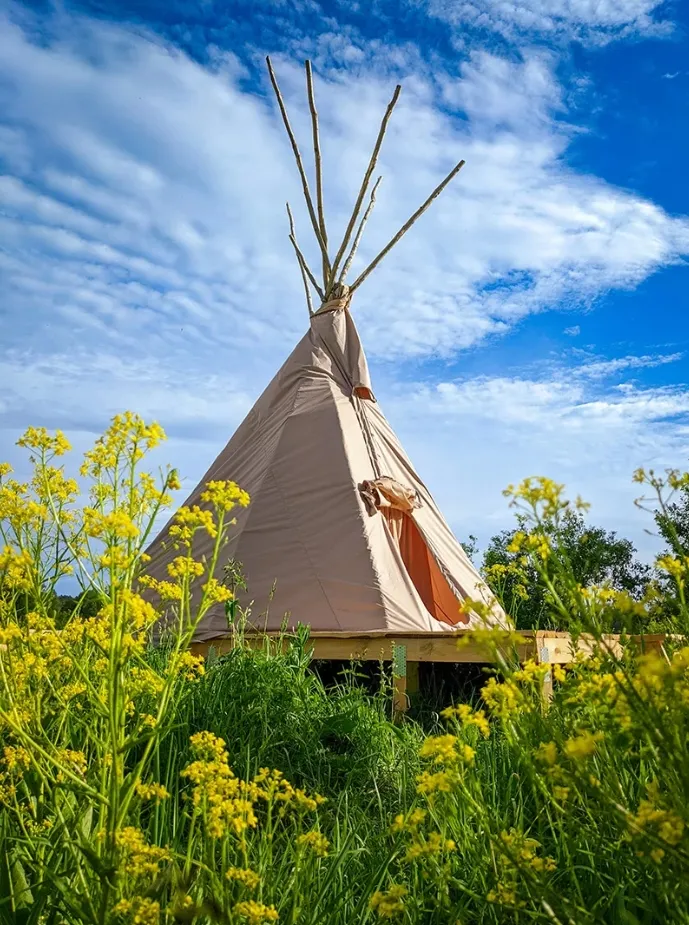 Глэмпинг СтреКоза