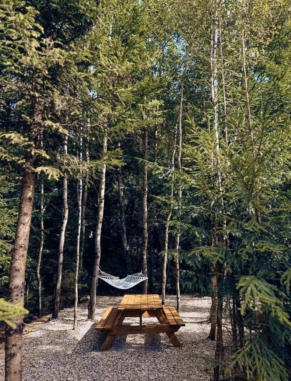 Глэмпинг Timeless фото 5