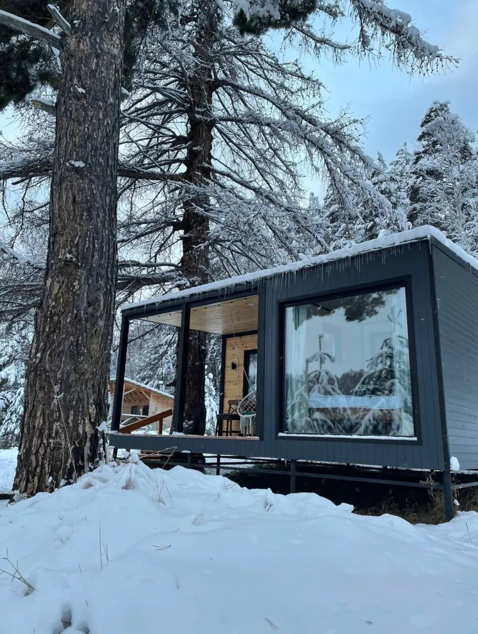 Волшебный лес