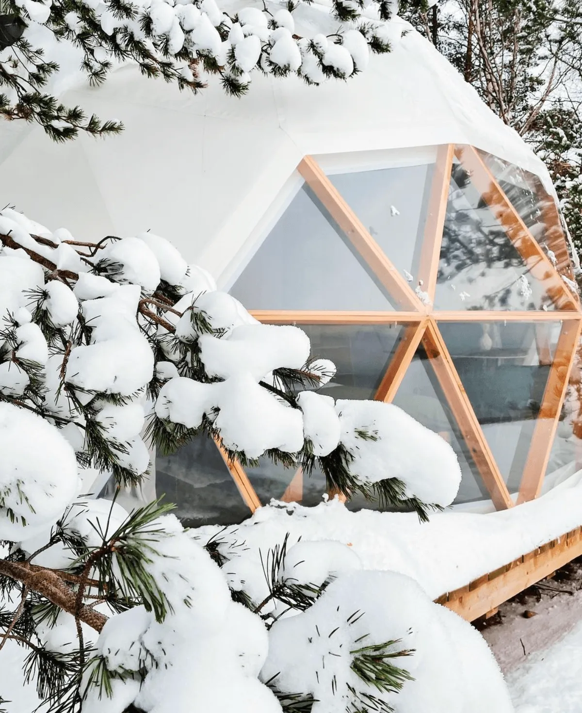 Глэмпинг в Ленинградской области Майтри фото 3