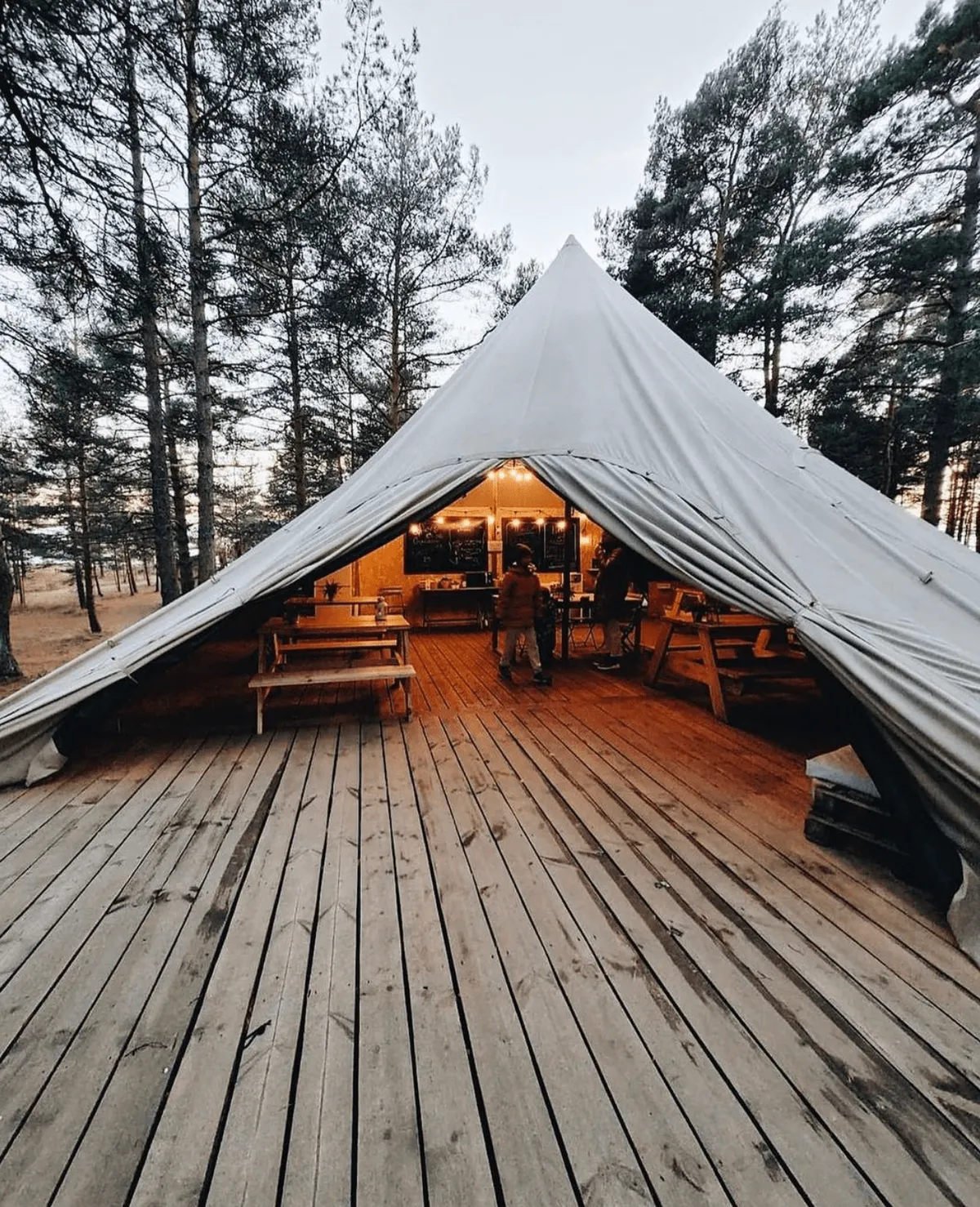 Глэмпинг в Ленинградской области Майтри фото 5