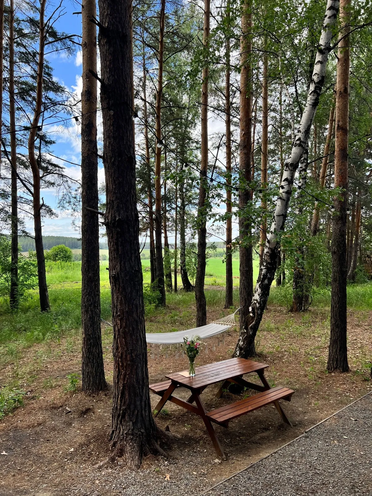 Глэмпинг в Свердловской области Дверь в лес фото 2