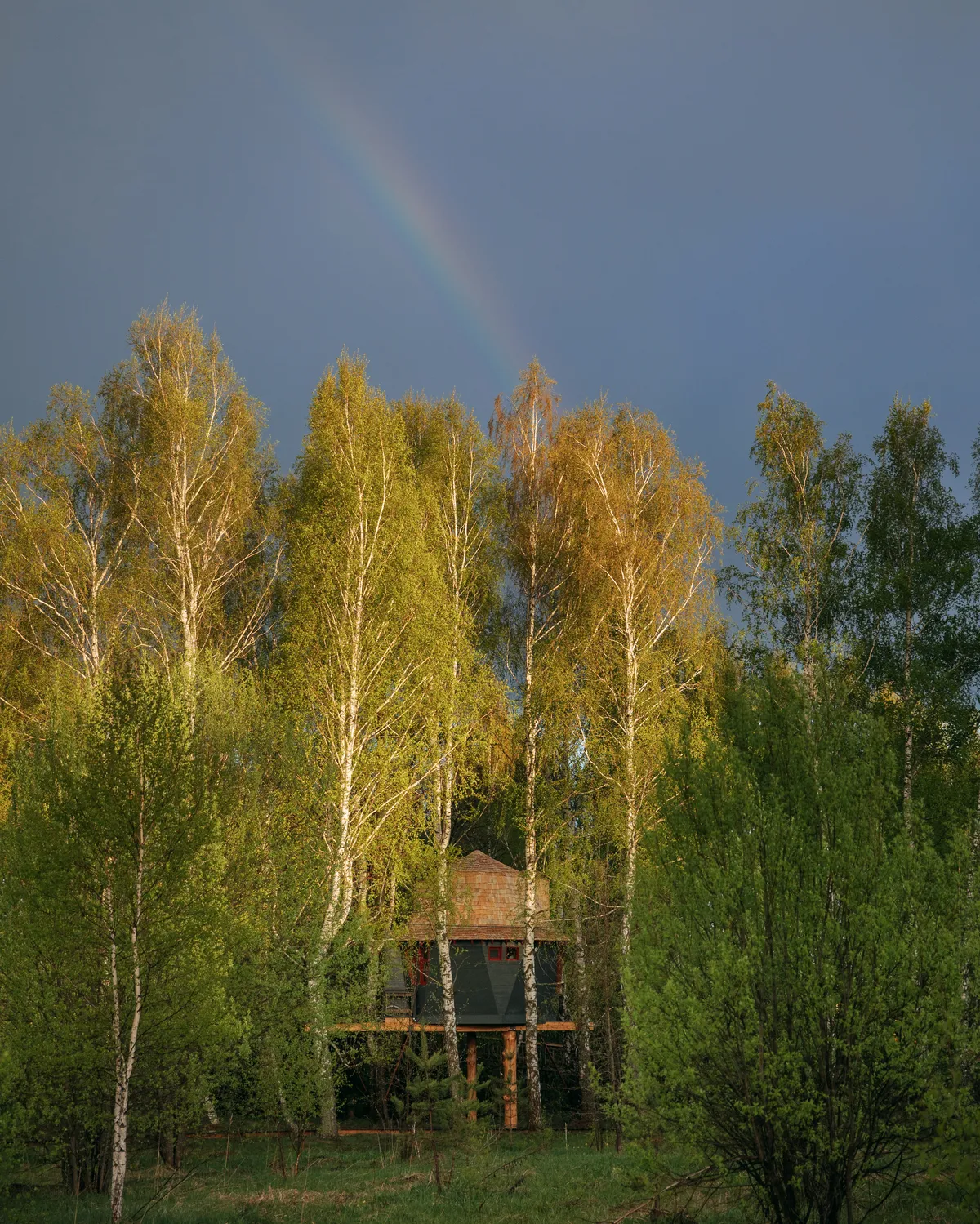 Глэмпинг в Тульской области Лапочкино Гнездо фото 2
