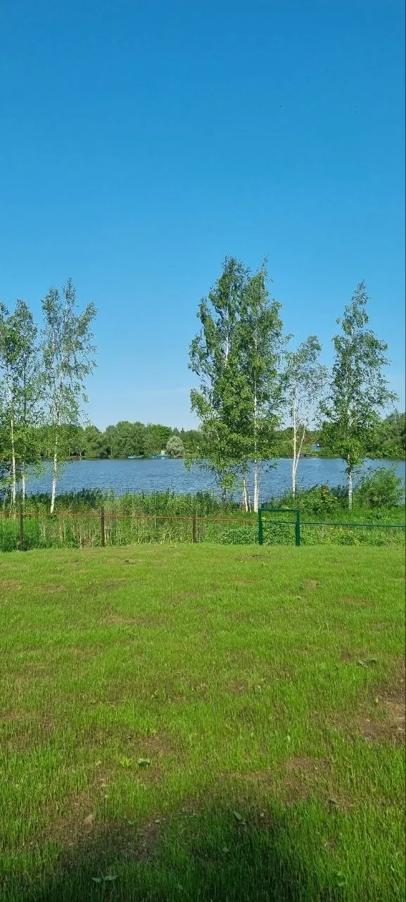 Глэмпинг в Тверской области А-фрейм Бережок фото 5