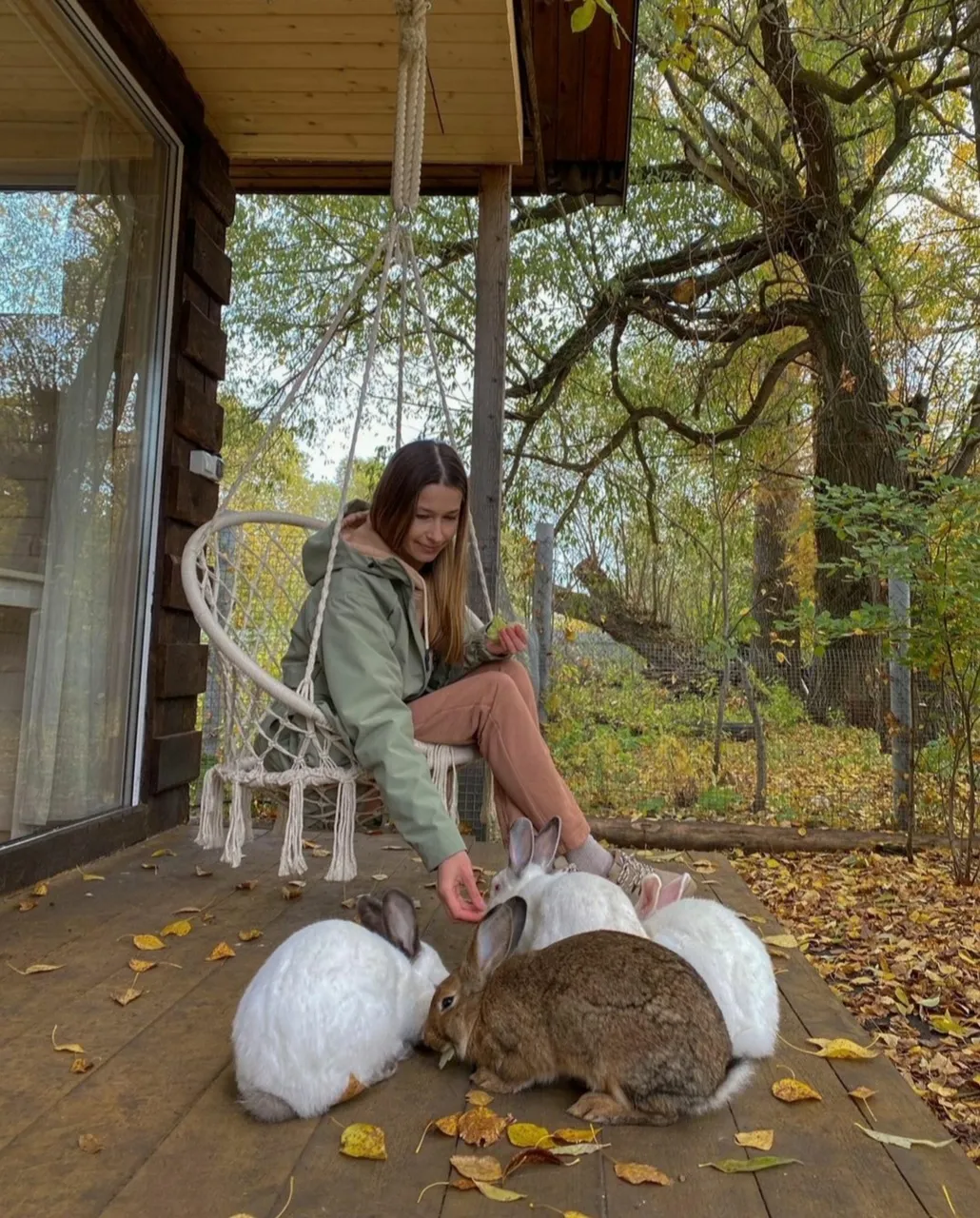 Глэмпинг в Ярославской области Дом на дереве фото 2