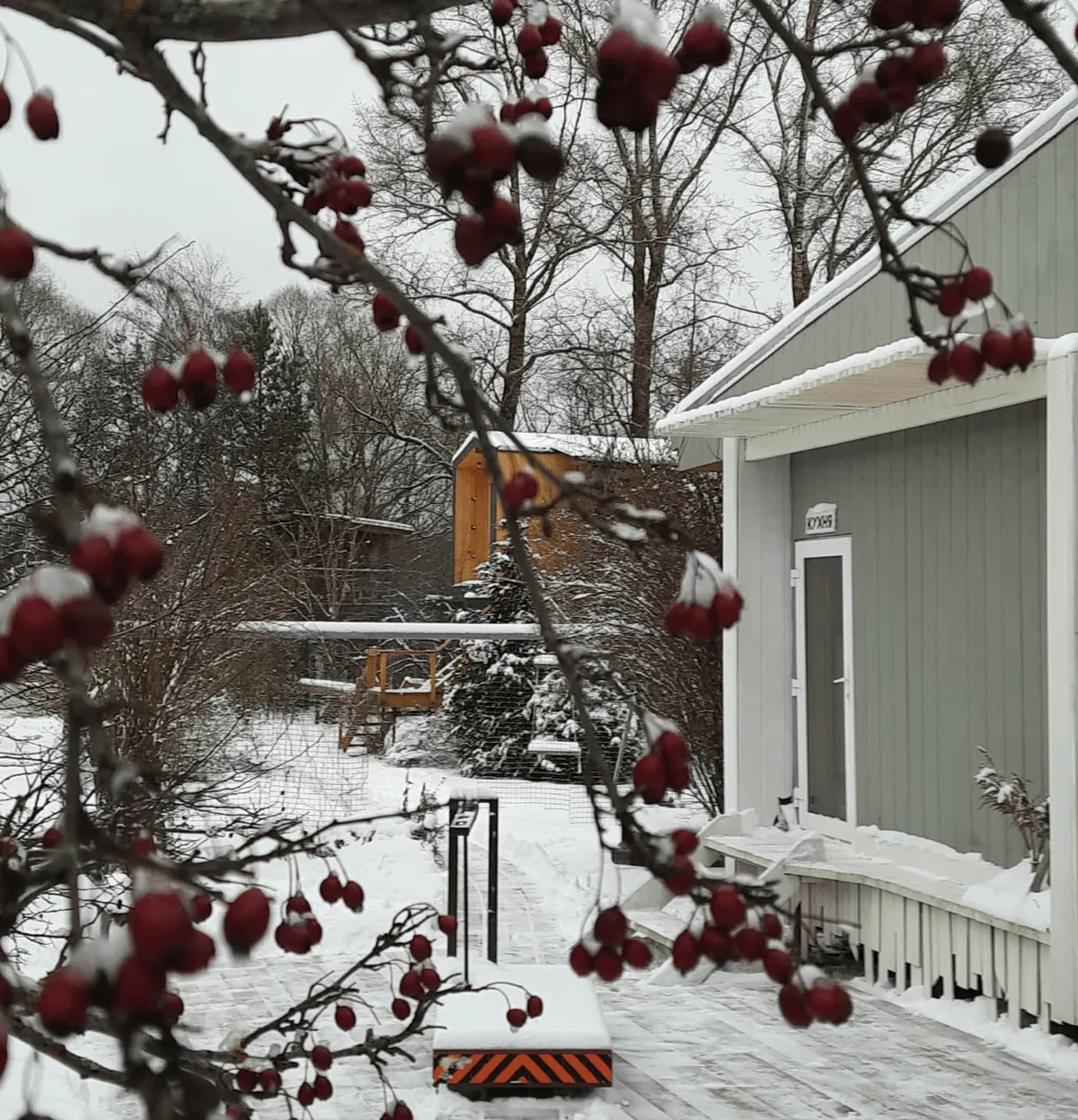 Глэмпинг в Ярославской области Дом на дереве фото 4