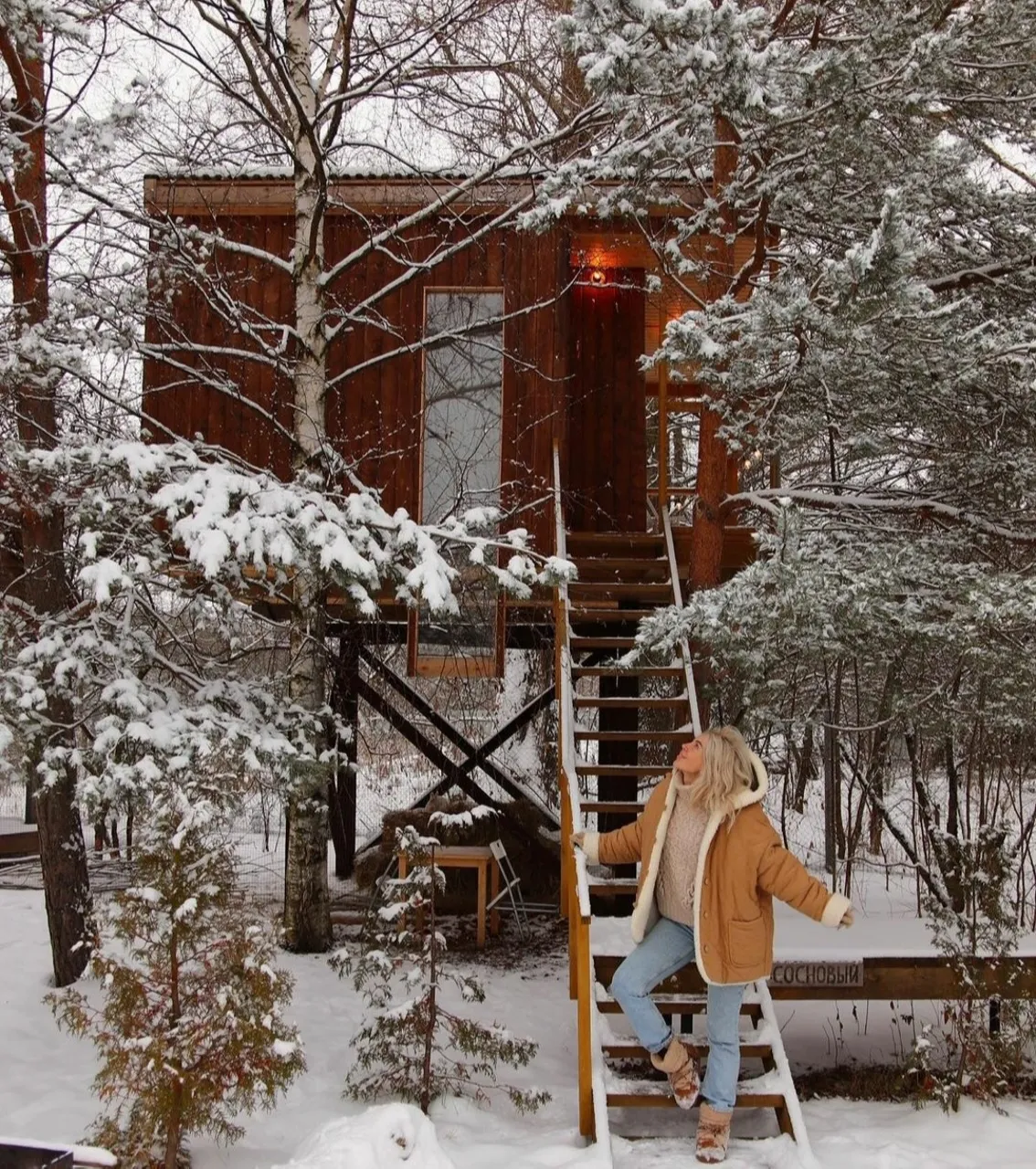Глэмпинг в Ярославской области Дом на дереве фото 5