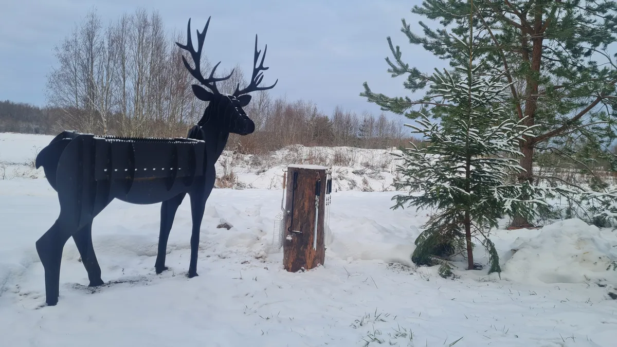 Глэмпинг Ёлкино За Палкино фото 3