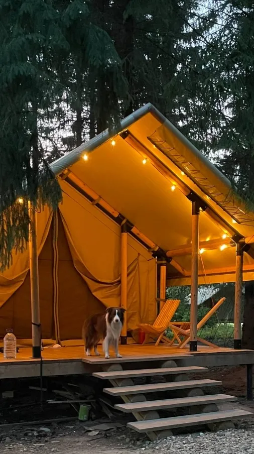 Глэмпинг Заповедник