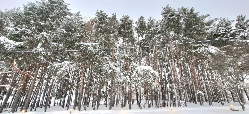 Горетово Парк фото 5