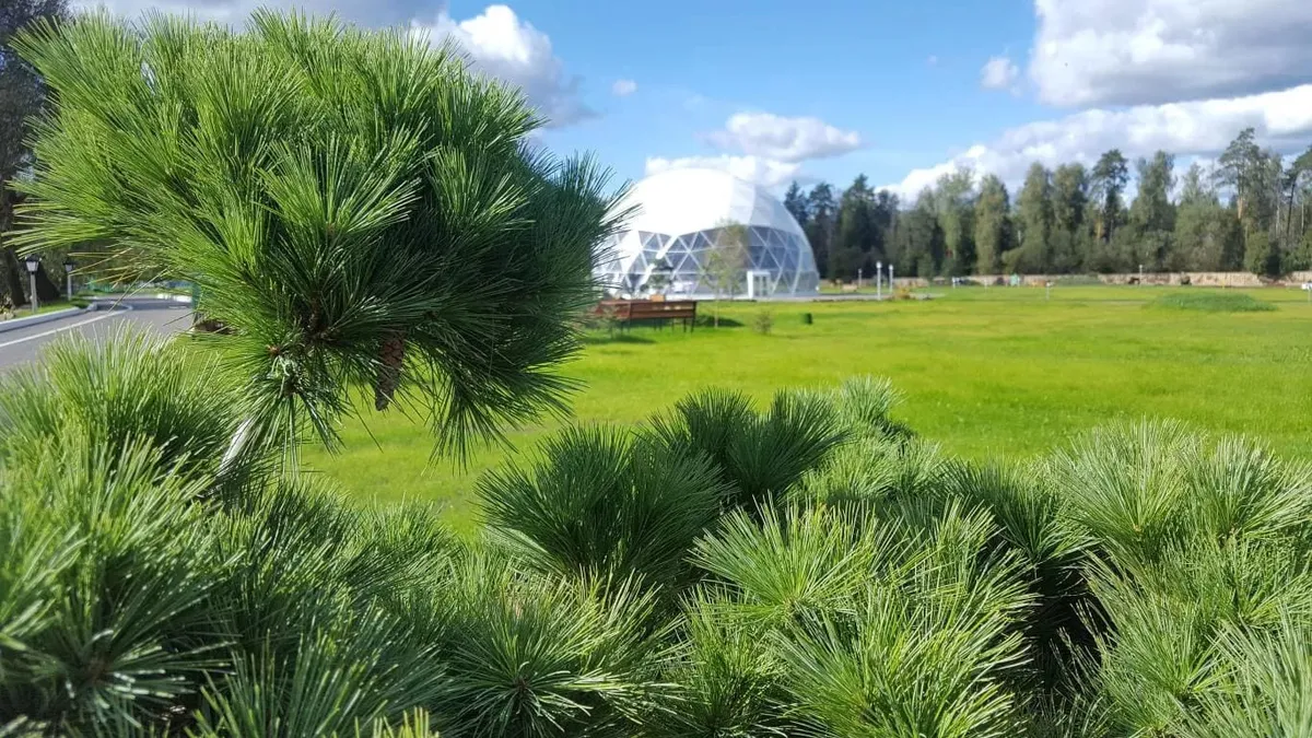 Горизонт фото 3