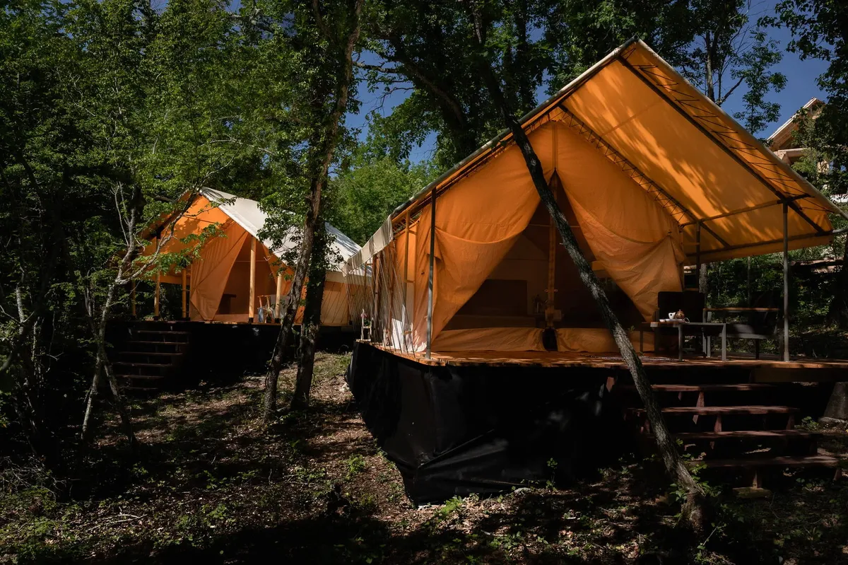 Горный Енот