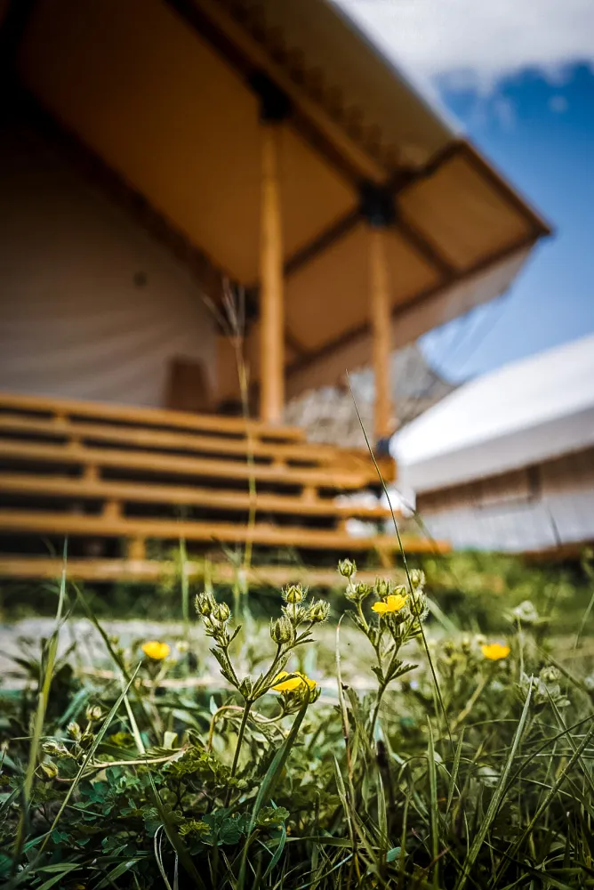 Горный Ветер by Reston фото 4