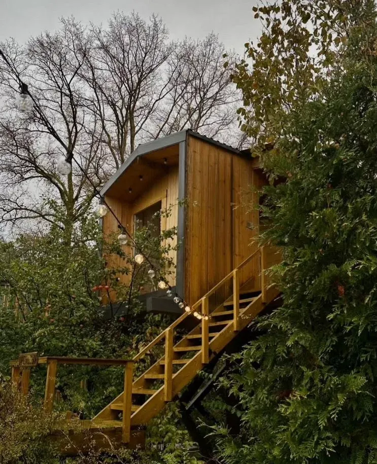 Гостевой дом Дом на дереве