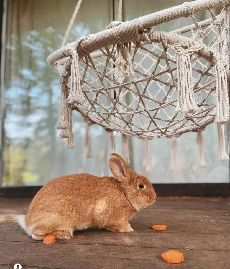 Гостевой дом Дом на дереве фото 2