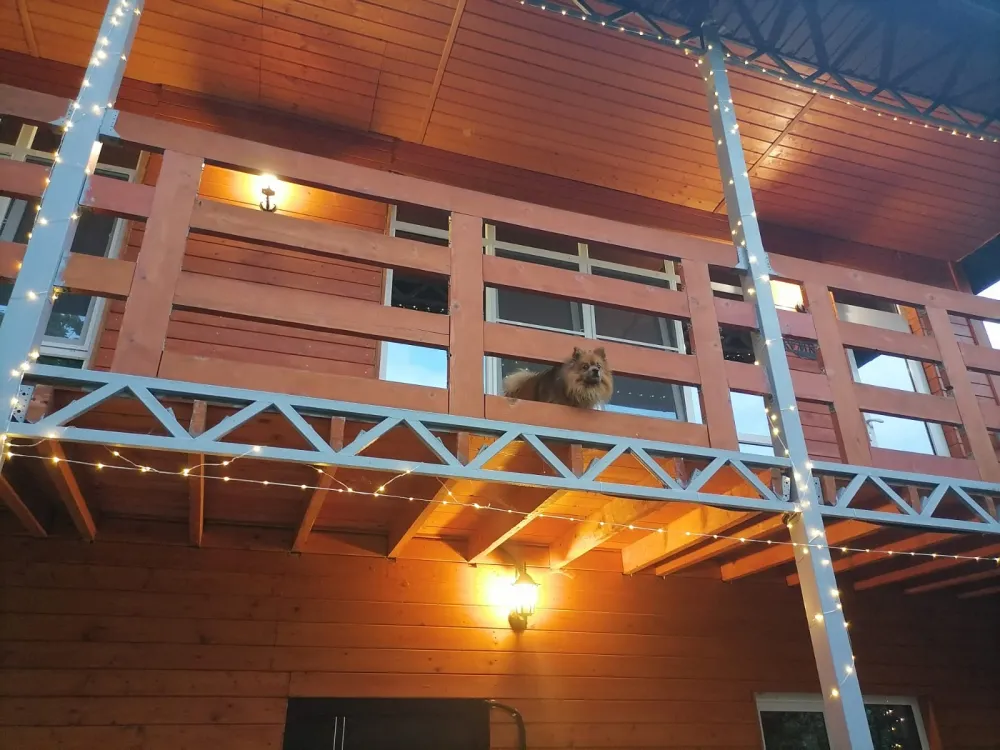 Гостевой дом Хижина фото 2