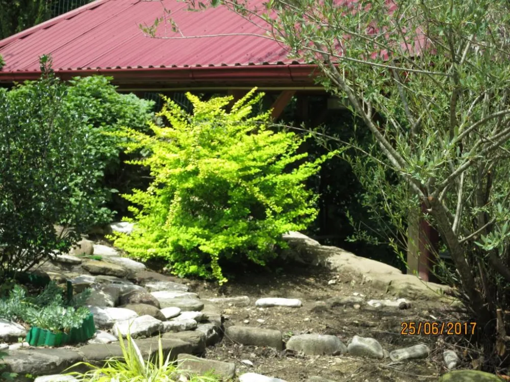 Гостевой дом "НЭСТА фото 3