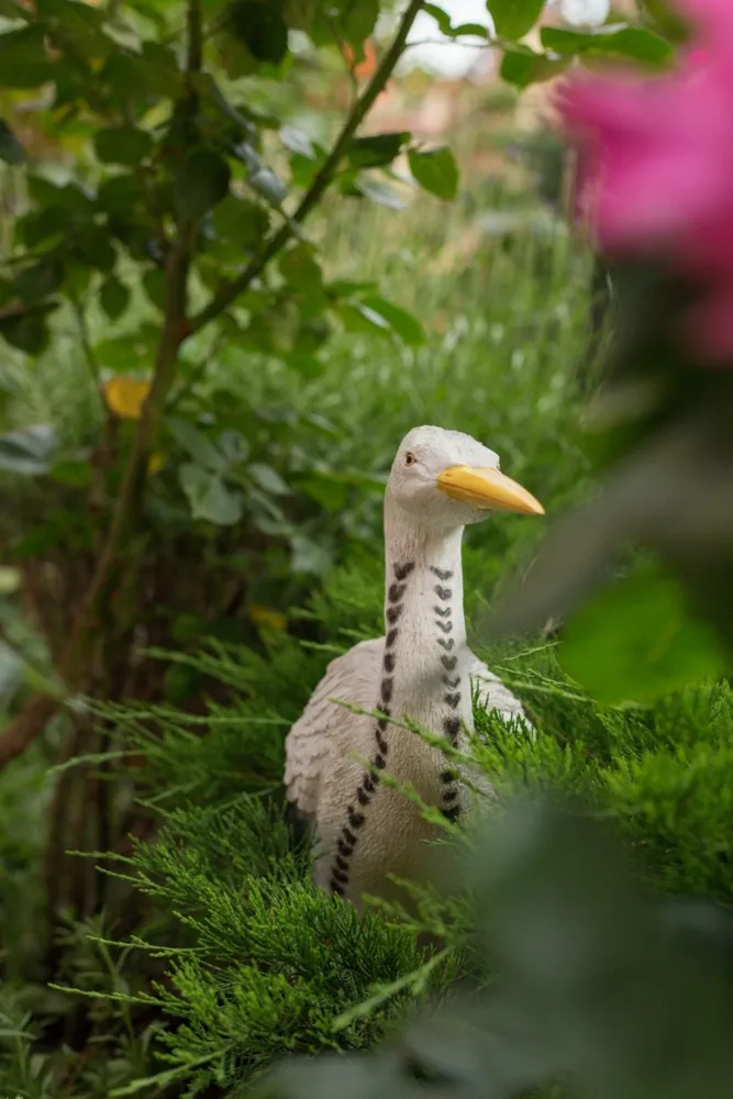 Гостевой дом Олива фото 4