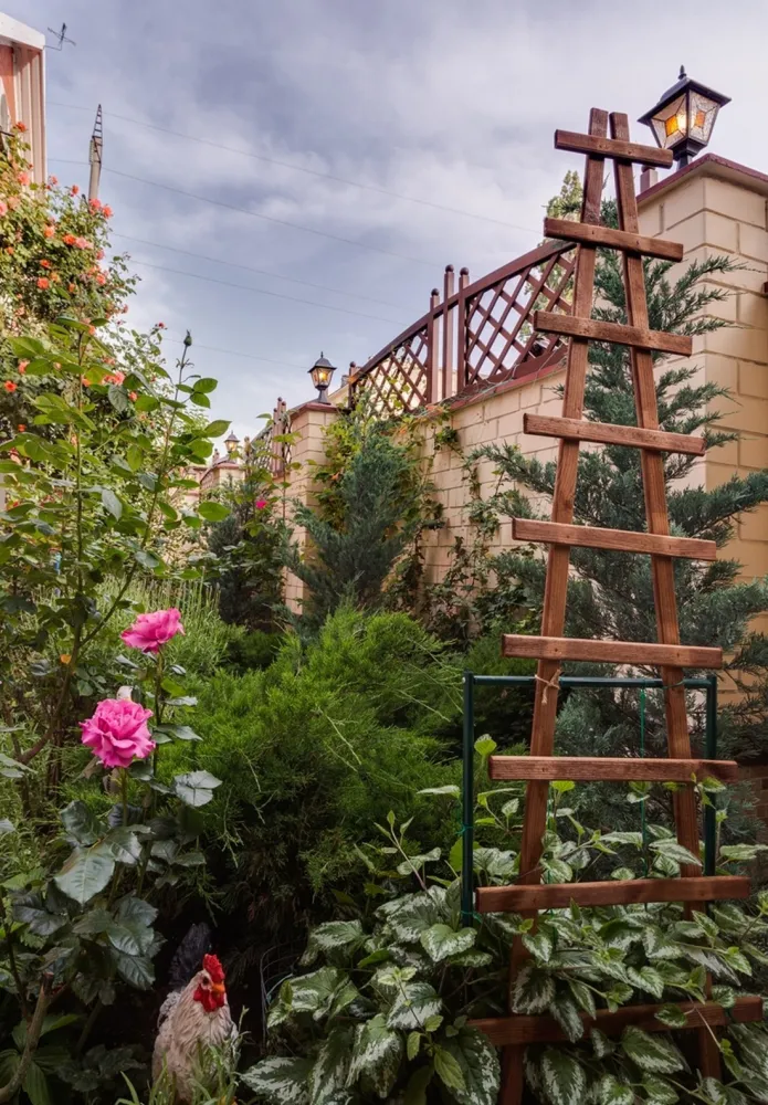 Гостевой дом Олива фото 5