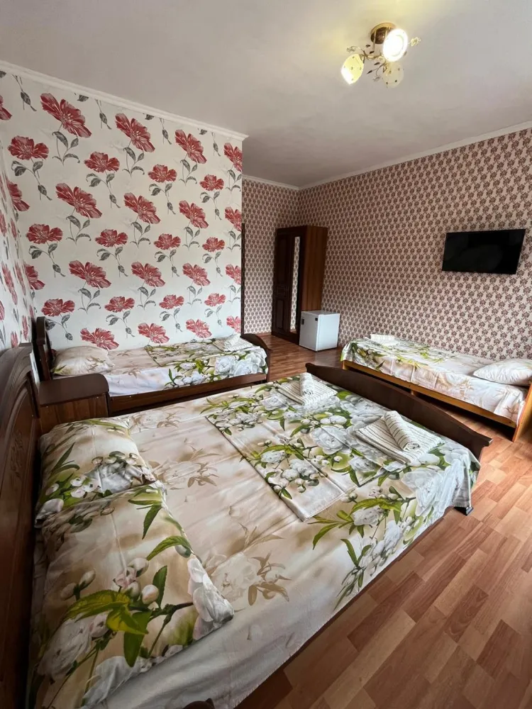 Гостевой дом У Луизы фото 2