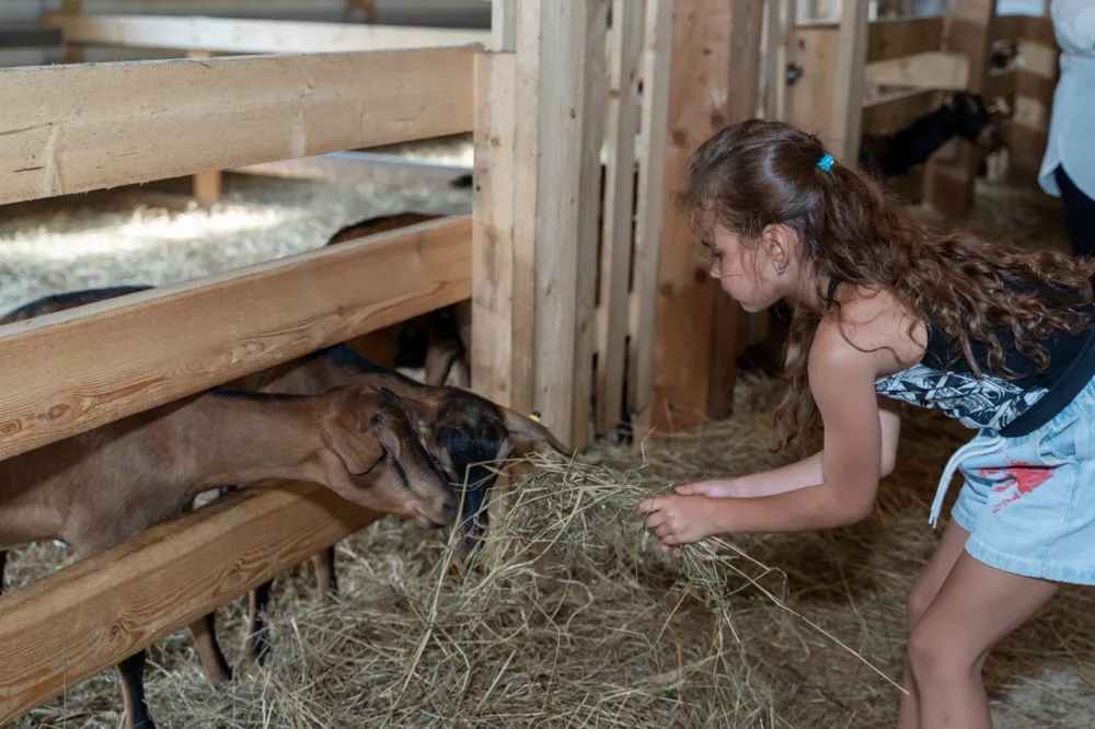 Гостиница Усадьба Добрынино фото 5