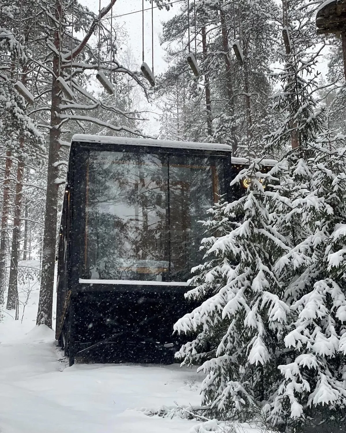 Сканди хаус