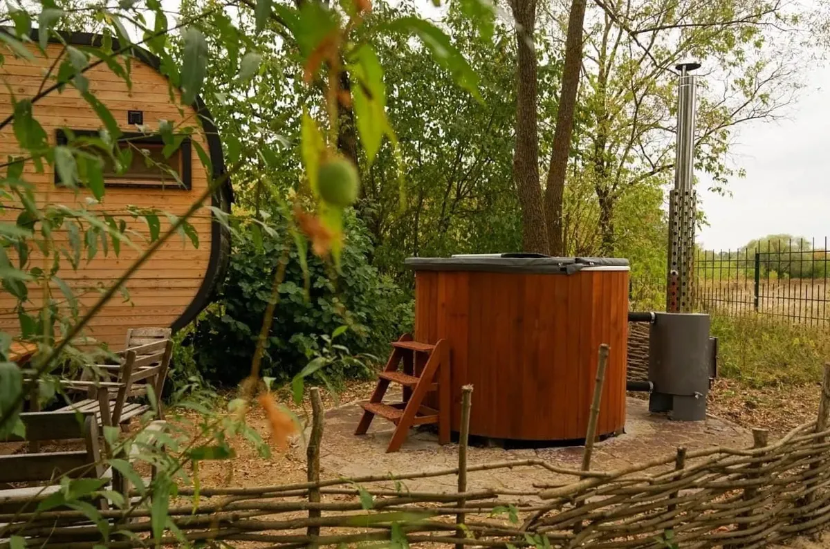 Эко-капсула в лесу с купелью