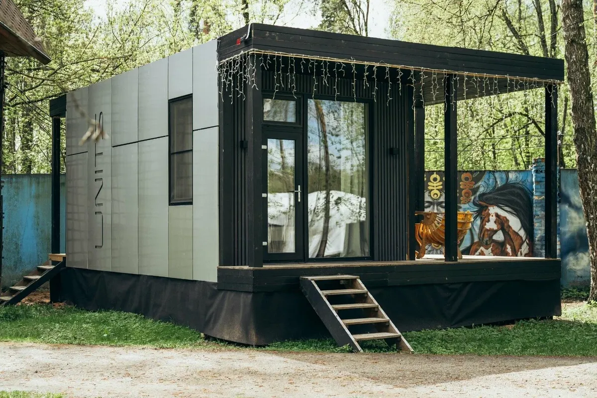 Гуси-Лебеди