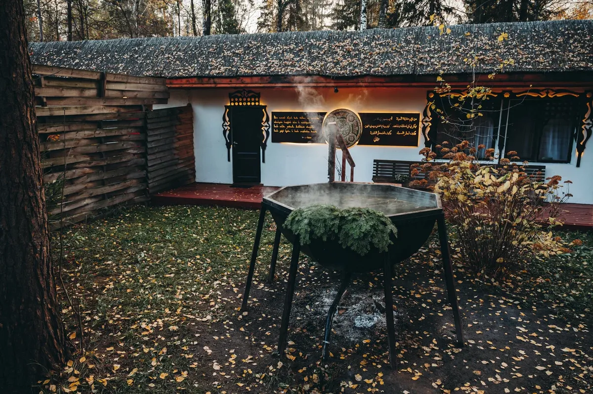 Гуси-Лебеди фото 2