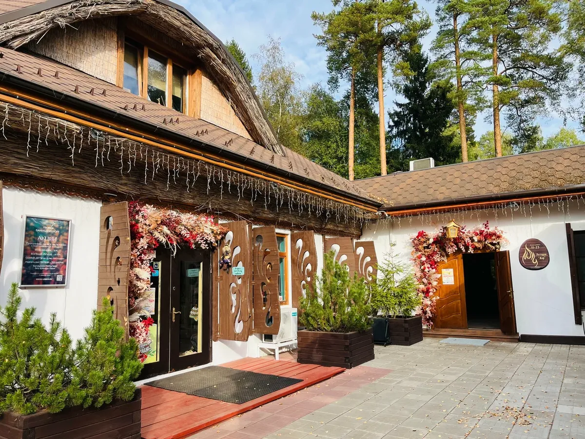 Гуси-Лебеди фото 3