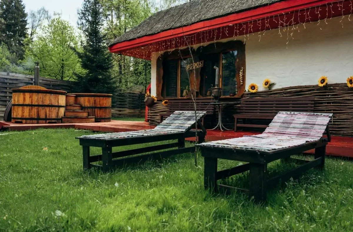 Гуси-Лебеди фото 4