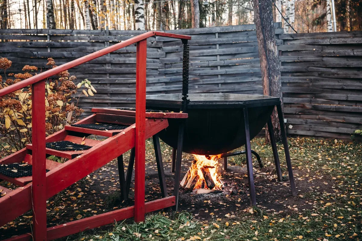 Гуси-Лебеди фото 5