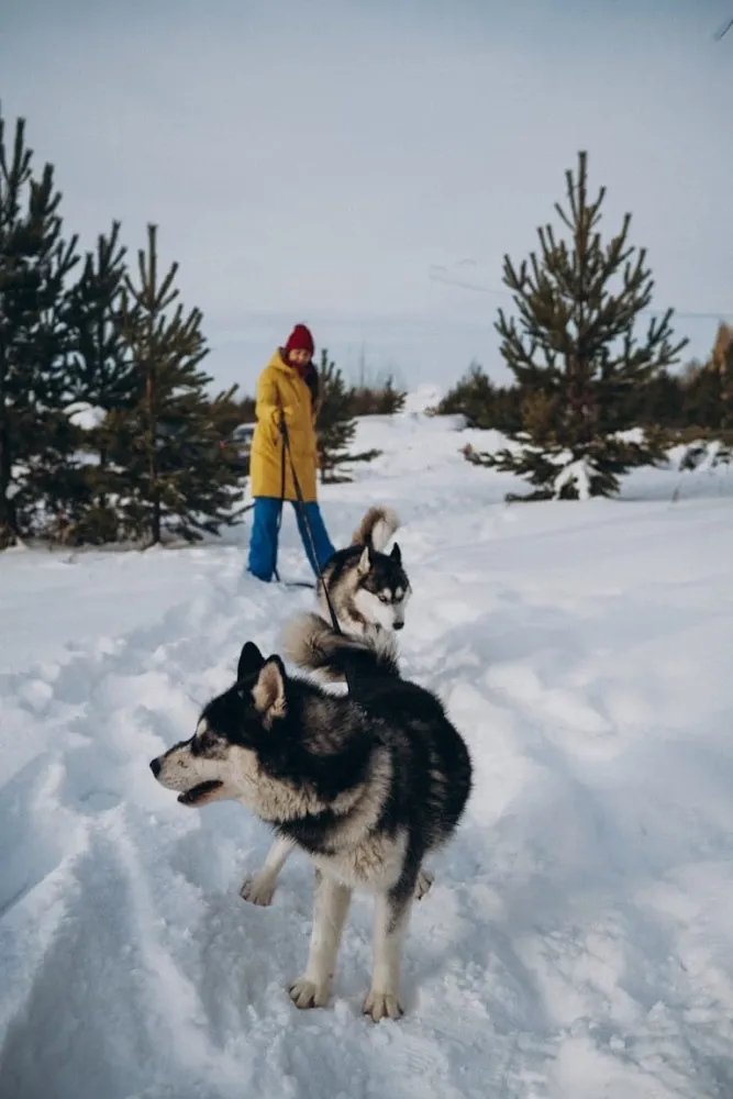 Helloferma фото 3