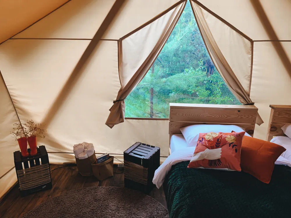 Helloferma фото 4