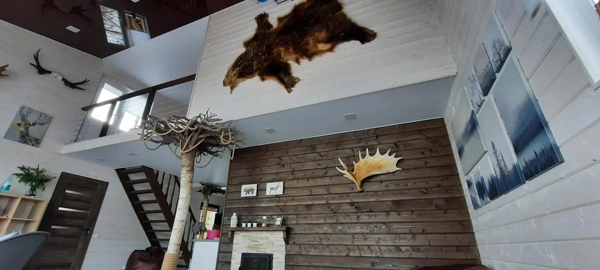 HouseBoat karjalan tasavalya фото 2