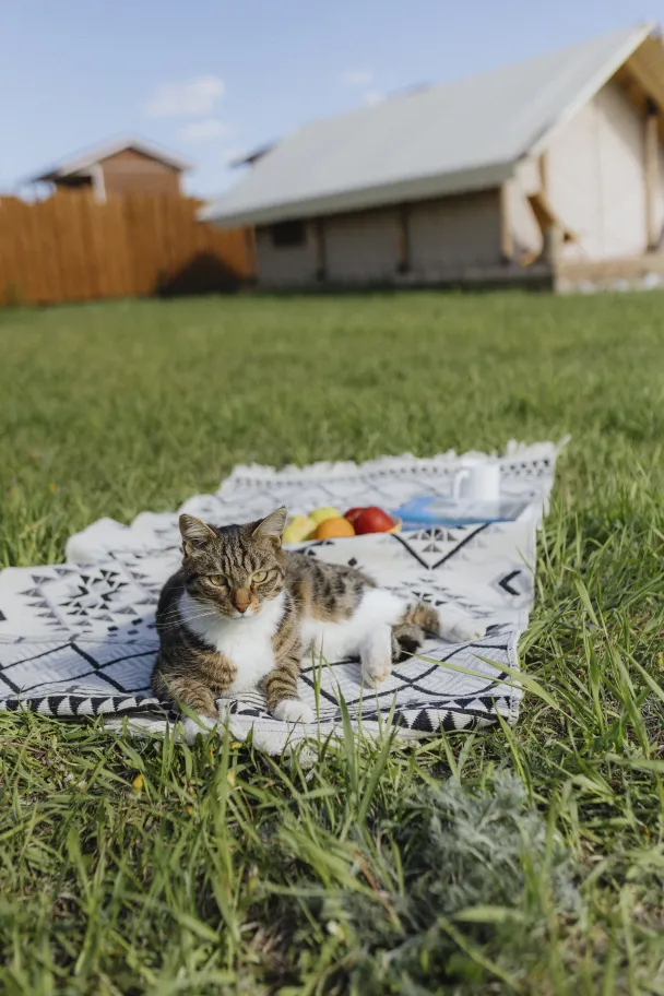 Искатели фото 2