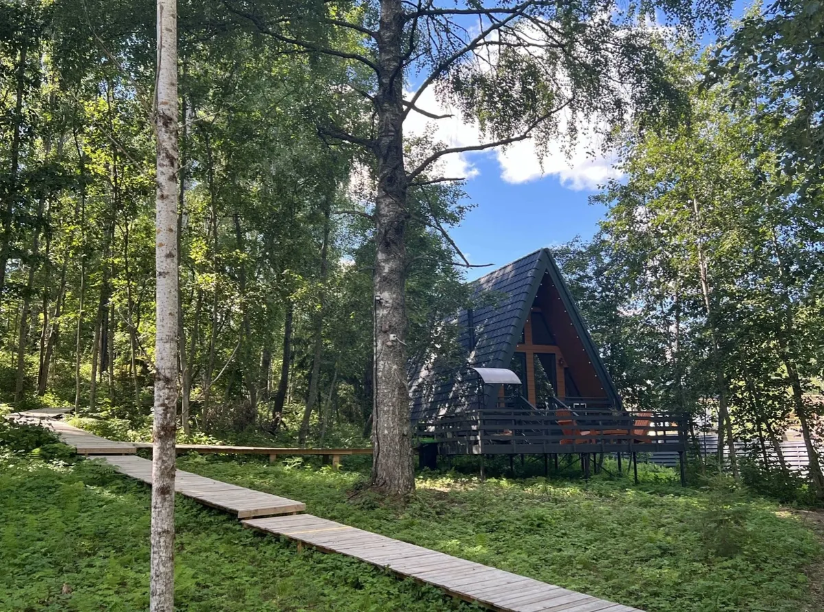 Избушки на опушке фото 4