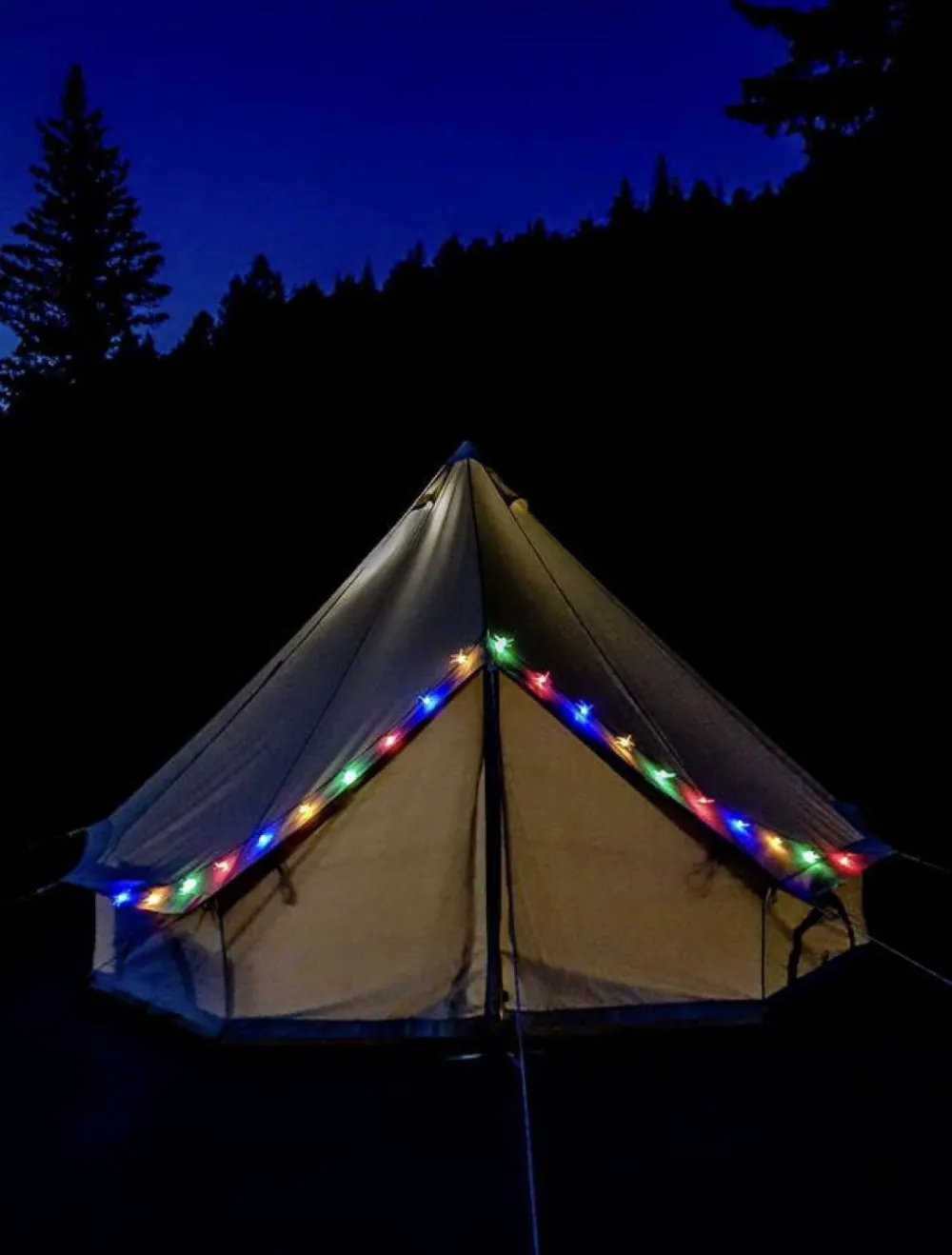 Кедровая Сова фото 2